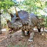 90% atjaunots Triceratops