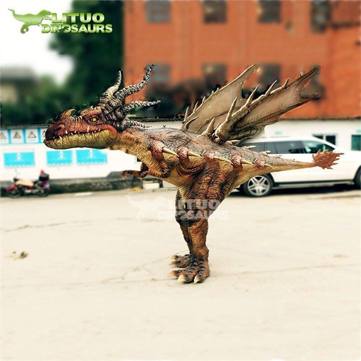 4costume dragon(001)