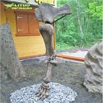 Dinozauru kāju kaulu fosilija