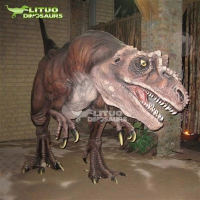 Iekštelpu rotaļu laukums Dinozaurs